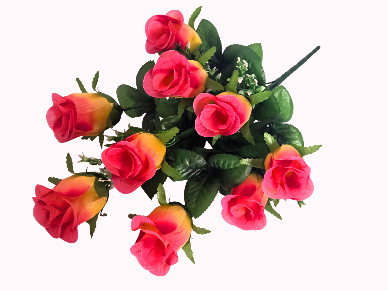 20260302_144854_Photoroom _1_.png